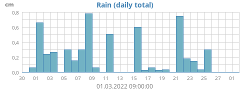 Rain