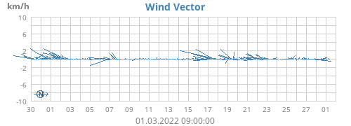 Wind Vector